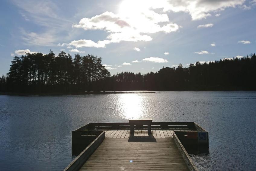 Saxarsviken - foto 38