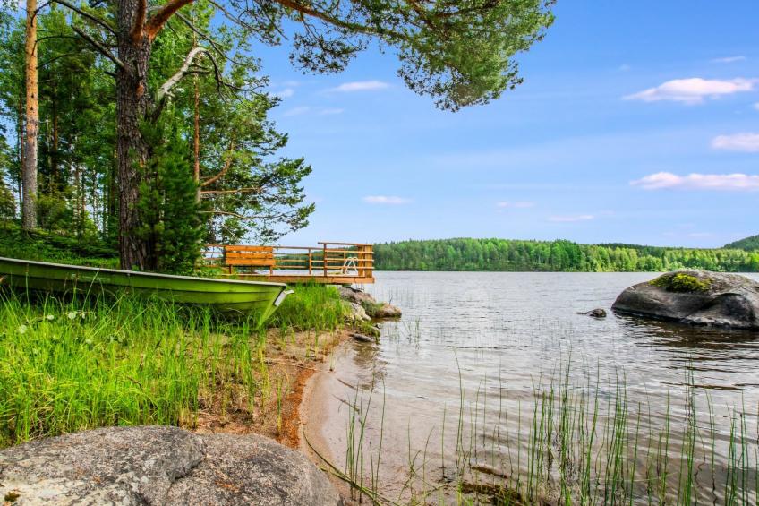 Hanhenpesä - foto 4