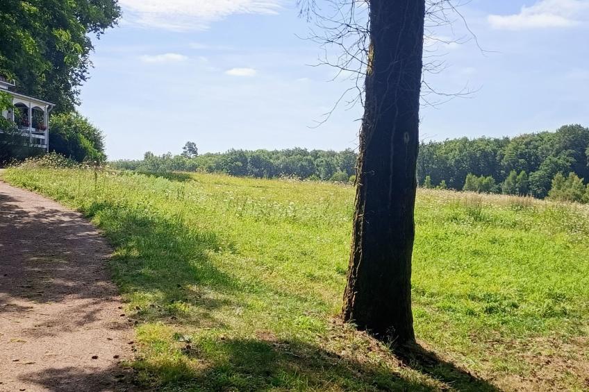 Chalet B10 Yemanisi in der Dordogne - foto 75