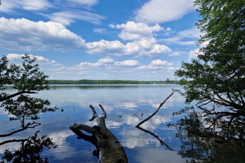 Nette Wohnung in Joachimsthal mit Kleiner Terrasse - foto 24