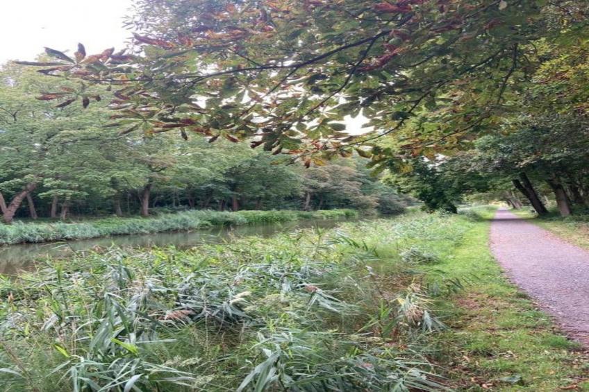 Hommelhove - foto 40