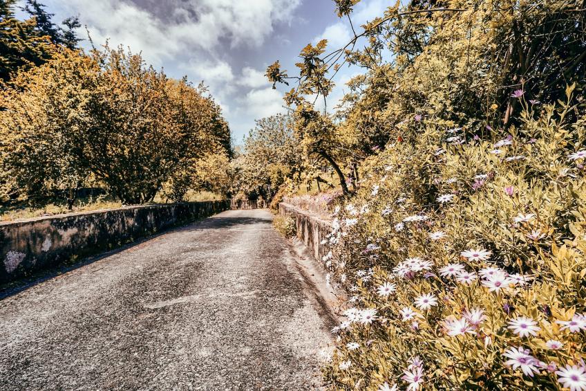 Casa da Rampa By Gt House - foto 34