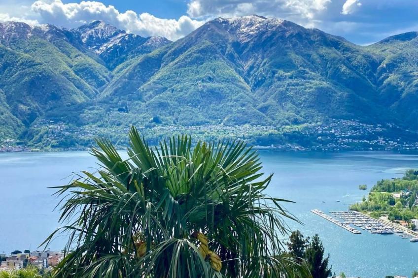 Panoramawohnung Orselina Locarno - foto 3