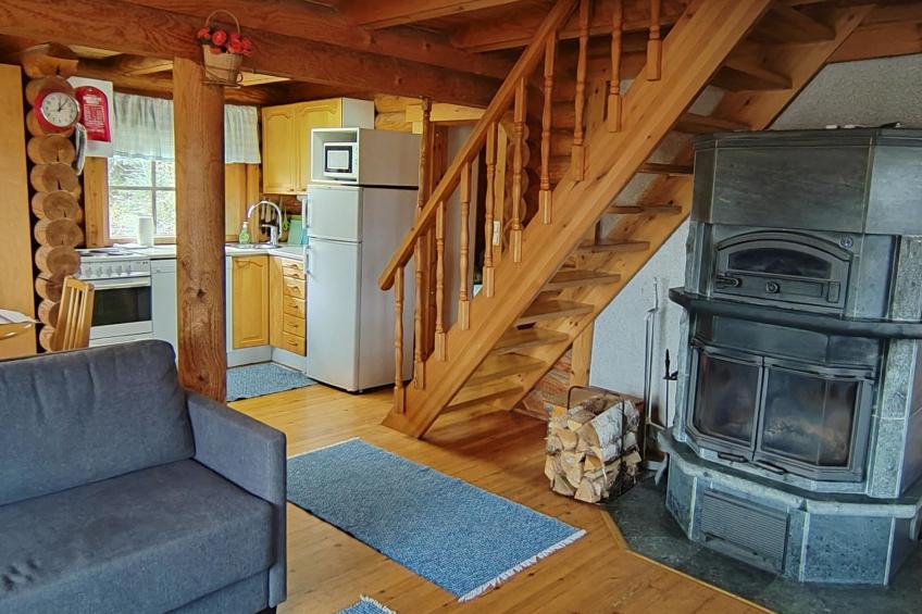 Heinäsorsa - foto 8