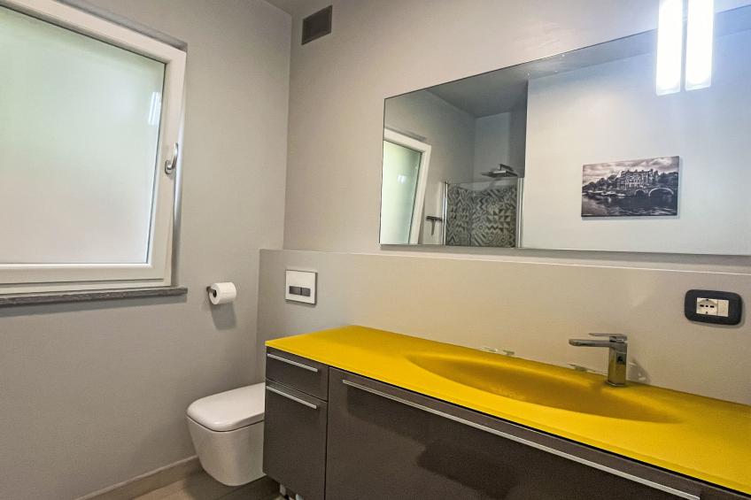 Le radici dell´ulivo - foto 16