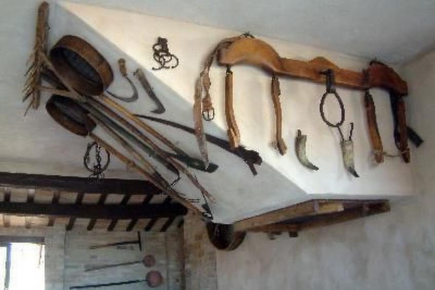 Grünes Appartement - foto 6