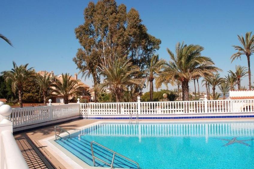 Violeta 17 - foto 61