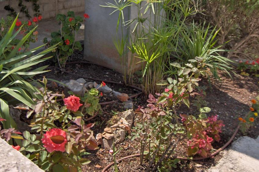 in Stari Grad - foto 34