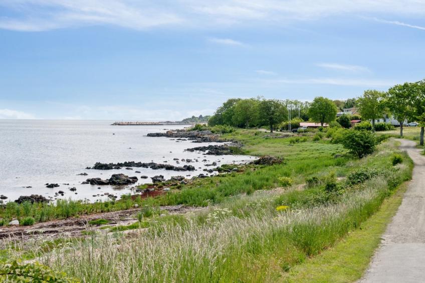 "Yosefin" - 50m from the sea - foto 9