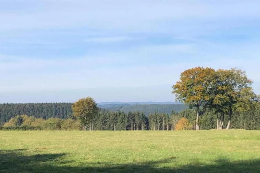 Ardennes Bleu 8 pers maximum - foto 35