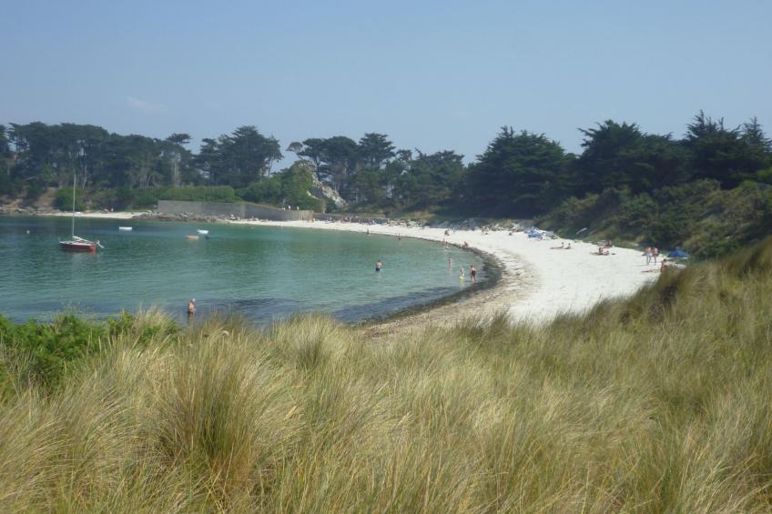Die Ruhe des Landes am Meer in einer Region mit Gemüseanbau - foto 16