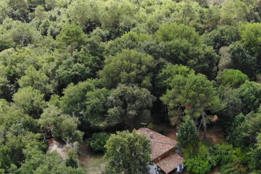 Ferienvilla "L'Airial, Moustey" - foto 6