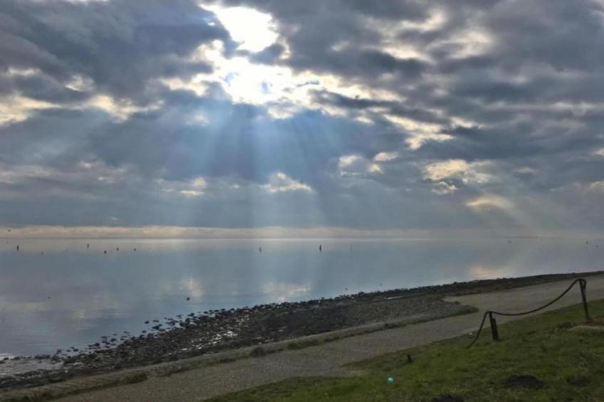 Resort Waterrijk Oesterdam 16 - foto 30