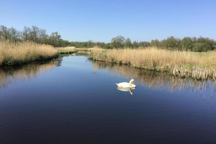 Waterpark Belterwiede - foto 34