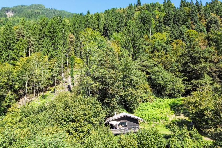 Häuschen am Waldrand - foto 10