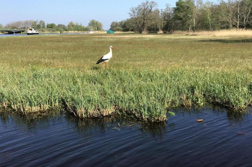 Waterpark Belterwiede - foto 38