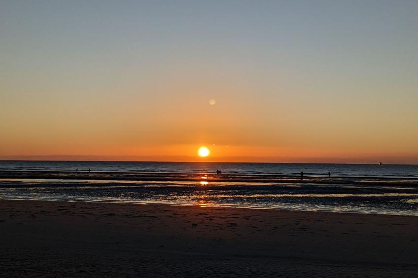 Duinendaele II - foto 14