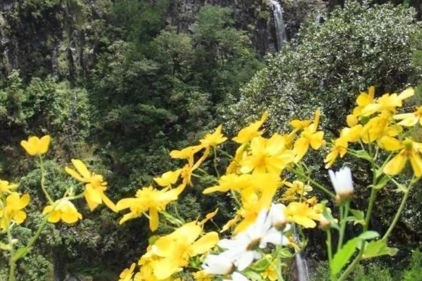 Seaview Refugium 633 - foto 13