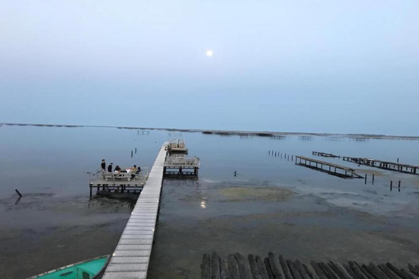 Terra Gaïa - foto 27