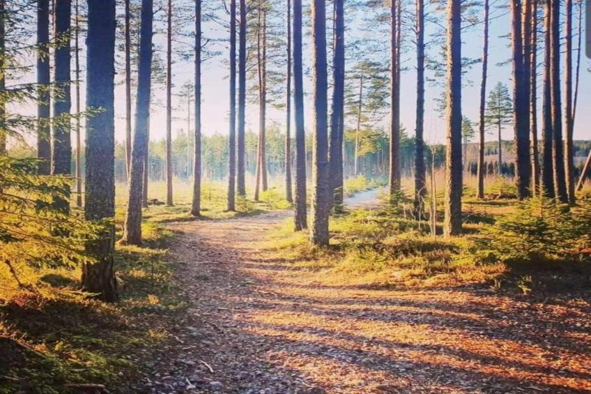 Abbas Stugby 14 - foto 29