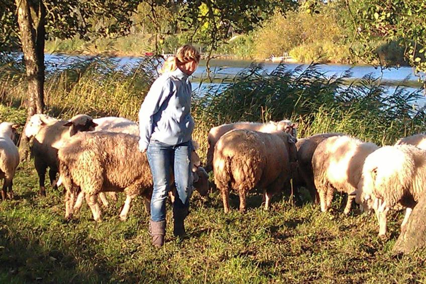 Ostedeichkate - foto 26