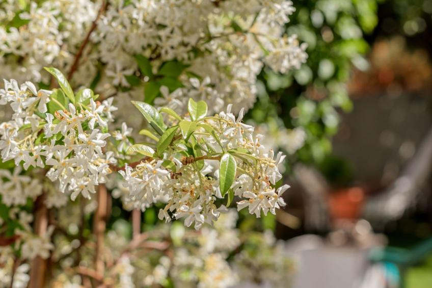 in Algés mit Kleinem gemeinsamem Pool - foto 24