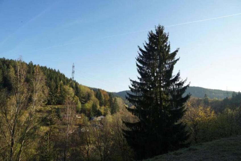 Güntersberge - foto 38