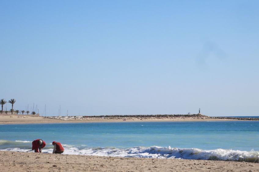 Prächtiger Meerblick - foto 34