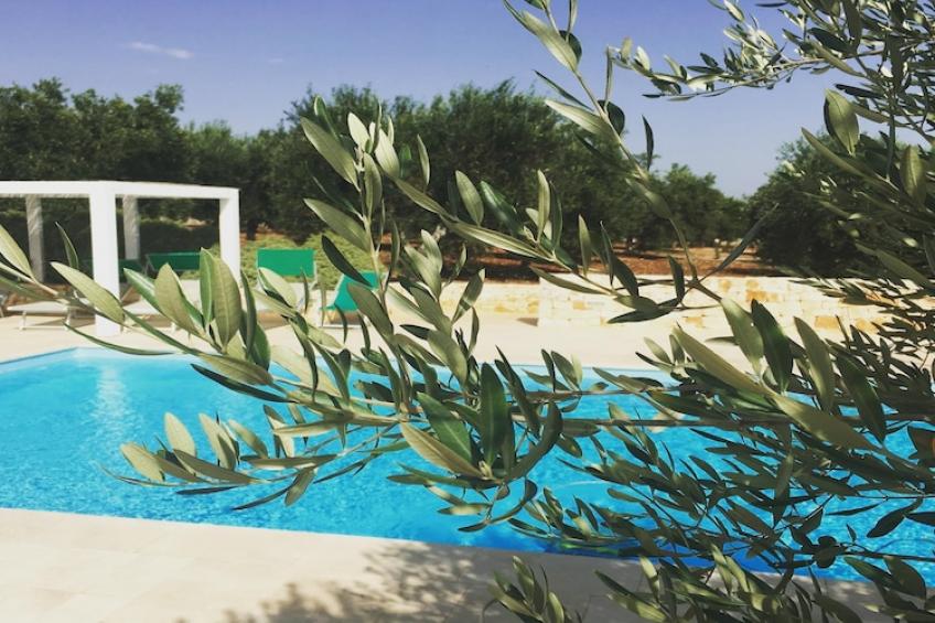 Trullo Amato Cisternino - foto 42