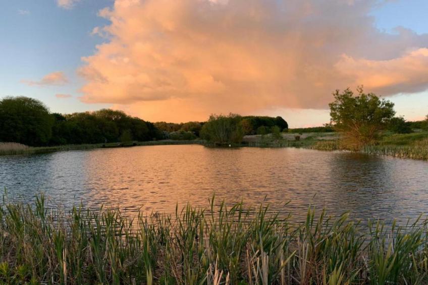 Wisteria at the Rookery - foto 31