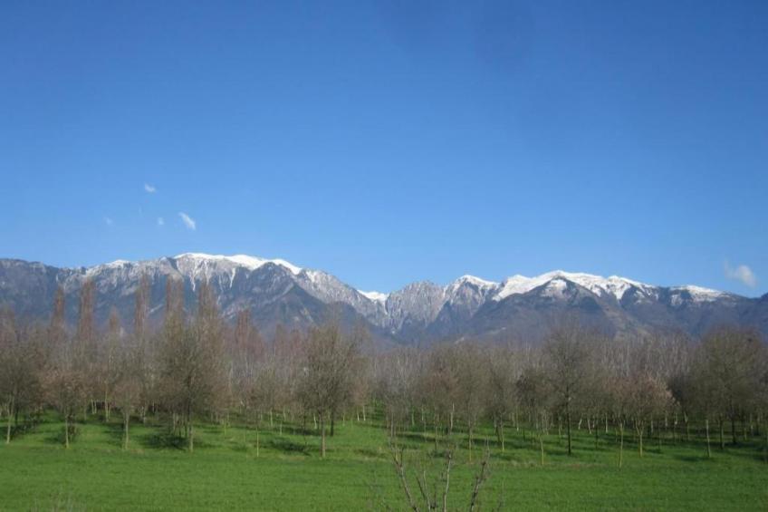 Le Do None Due - foto 27