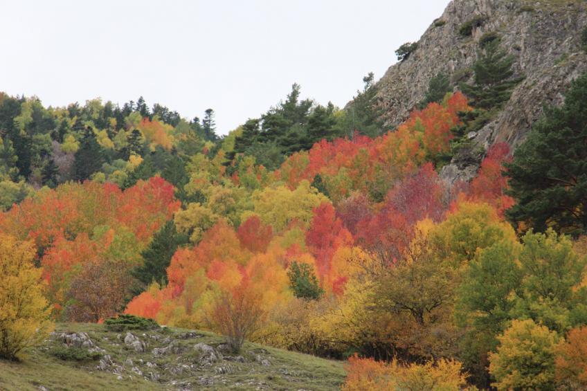 Cobert d'en Piarró - foto 39