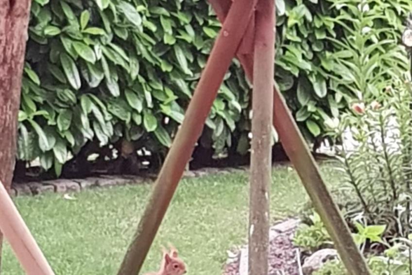 Beim Bracksee - foto 9