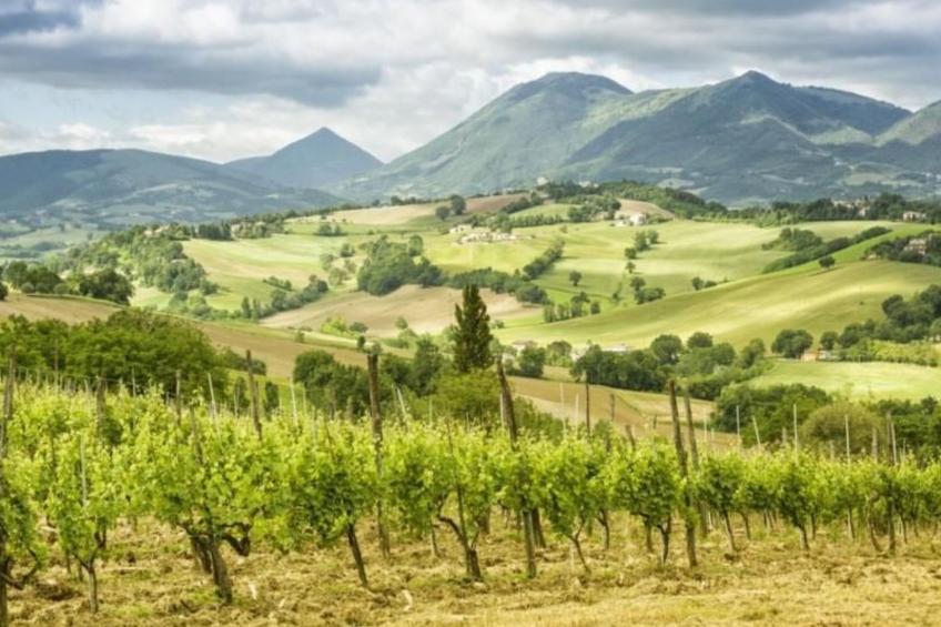 Ca Piero 8 Personen - foto 41