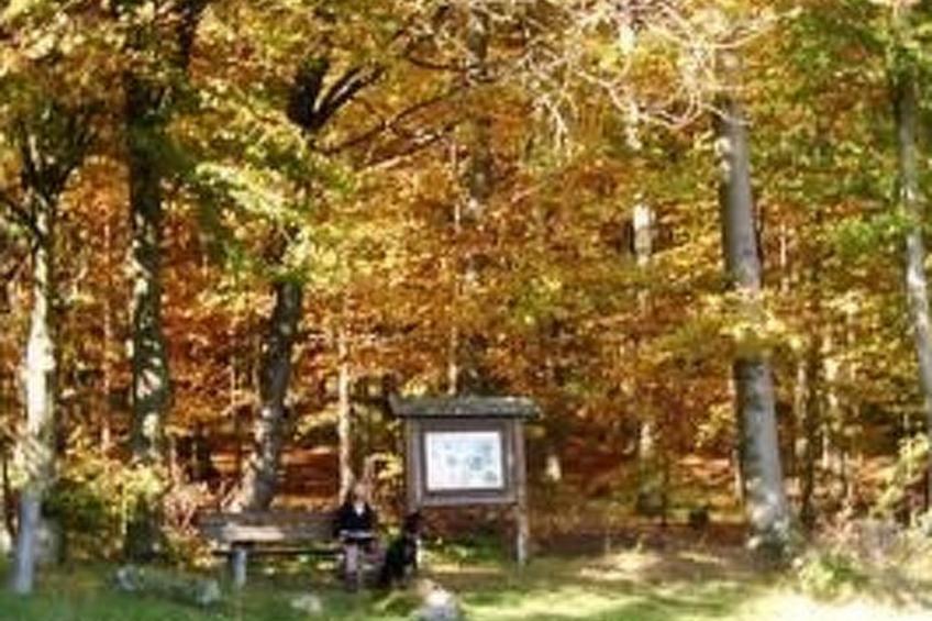 FEWO Juliana - foto 11