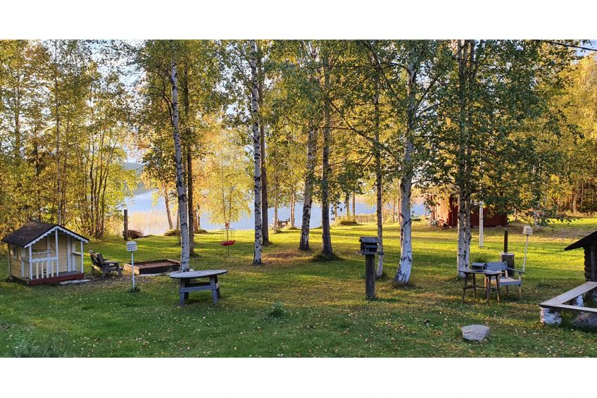 Koivulahden reinola - foto 37