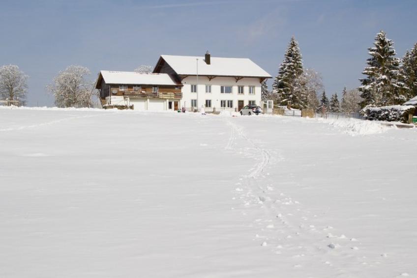 Appartement - Carpe Diem, (Saignelegier), - foto 6