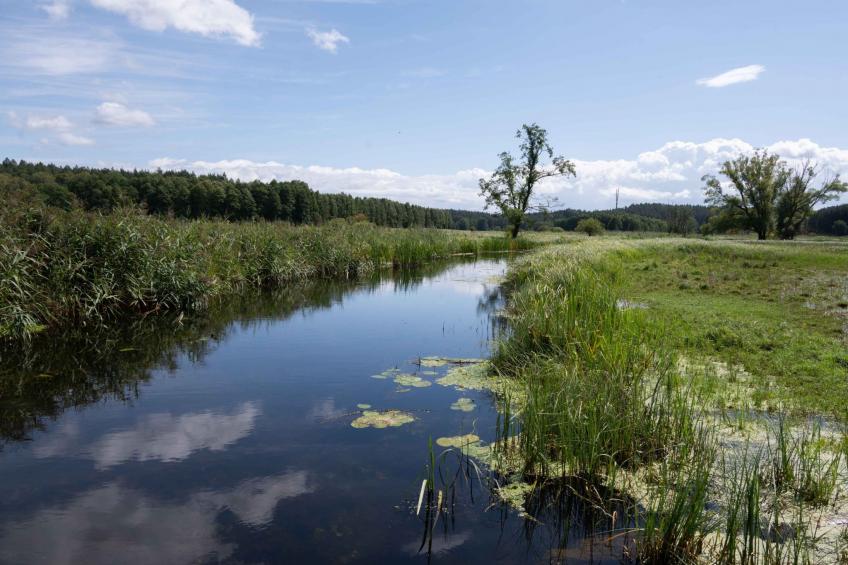 Vogelecke - abseits des Trubels und der Hektik - foto 17