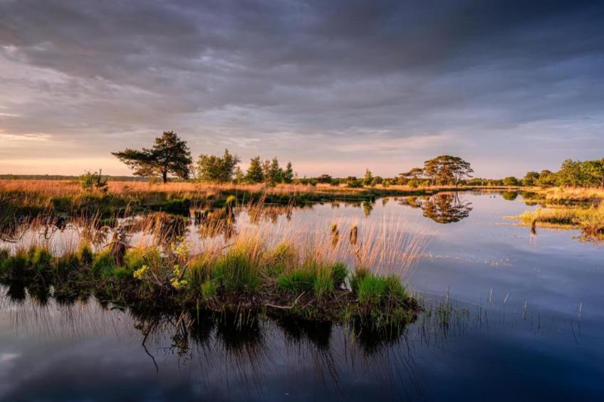 De Ploeg 6P - foto 7