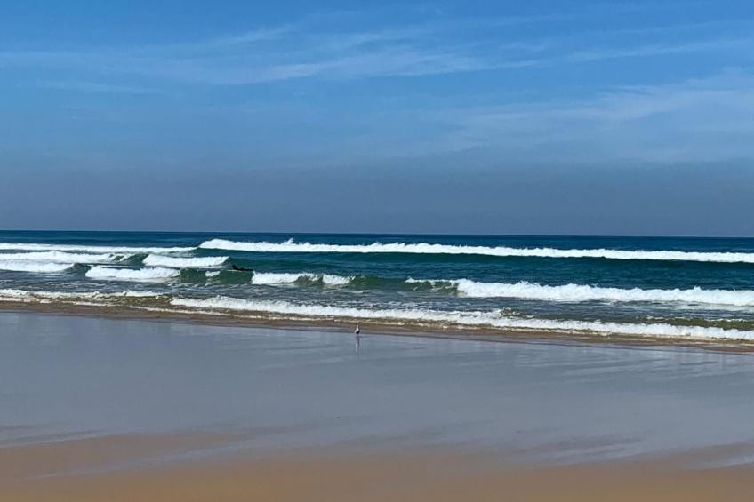 La Maison Pinède - foto 37