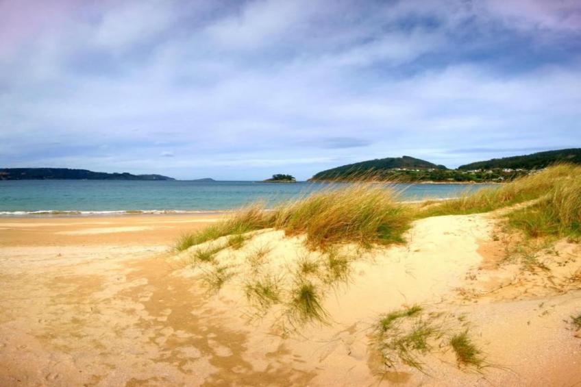 Quinta do Couto - foto 40