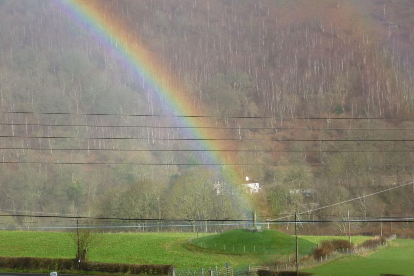 Velvet Cottage - foto 25