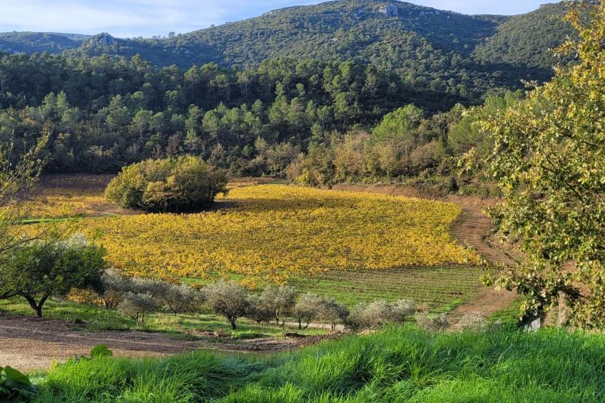 Wohnung in charmantem Haus auf Domäne - foto 26
