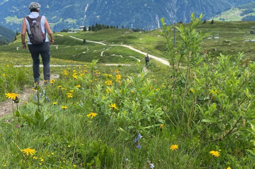 Tscheppa B - foto 12