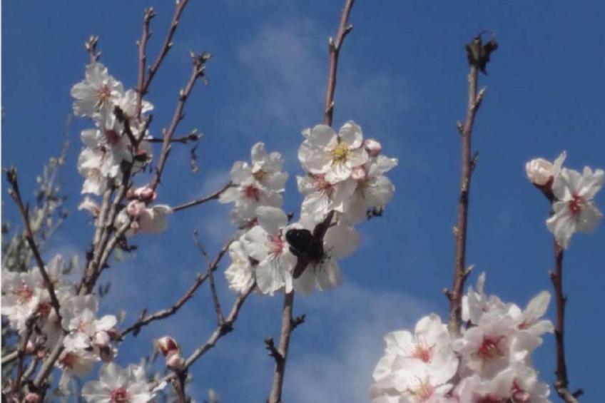 Locations-06 - Die Eugenie - foto 41