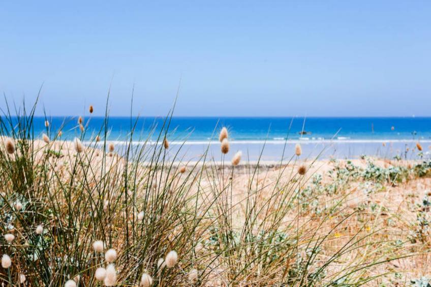 Maison à Saint-Lunaire - foto 29