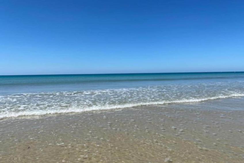 Maison de vacances - LE PONCHEL - foto 24