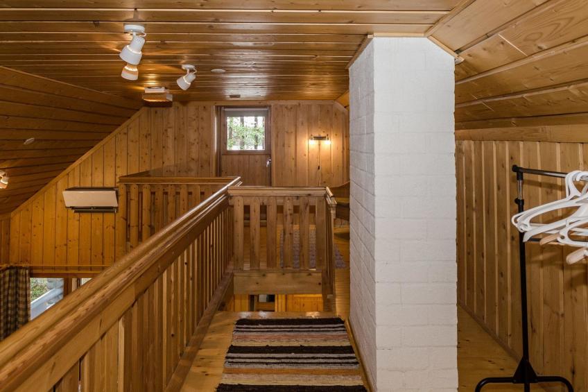 Koli, cjoe067 metsätähti - foto 13