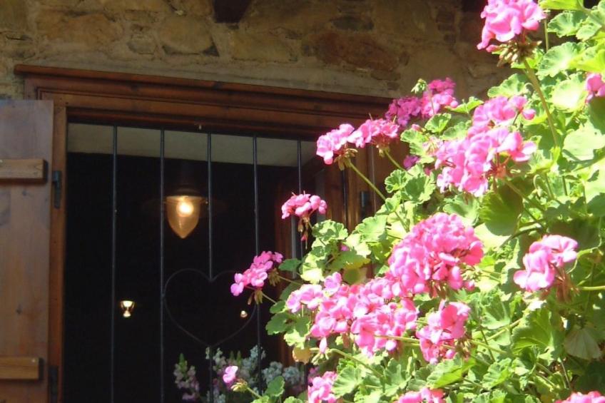 "Kyria Florenz" - foto 32