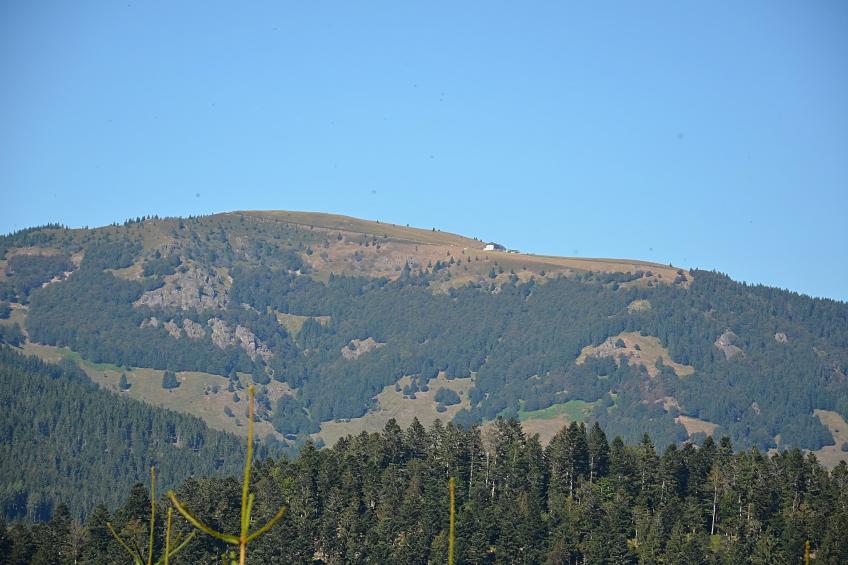 Schwarzwald - foto 40